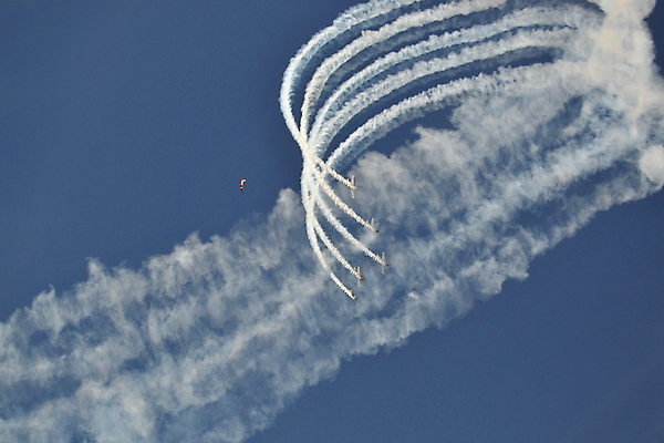 포토 JPG 해외이미지 날개 사람없음 해외202004 해외포토 파일형식 이미지허브