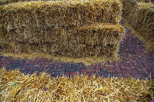 포토 JPG 해외이미지 산업 선 백그라운드 패턴 농업 비즈니스 자연 추상 벽돌 건조 사람없음 여름 농장 가축 수확 시골 황금 볏짚 낟알 밀 질감 먼지 암초 미로 추수감사절 뭉치 밀짚 내추럴 땅바닥 밭일 해외202004 해외포토 동물 계절 기독교 무늬 곡류 바닥 짚 생태계 파일형식 이미지허브