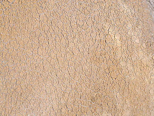 포토 JPG 해외이미지 동물 1 디자인 야생동물 백그라운드 패턴 신체 포유류 자연 추상 건조 사람없음 회색 거친 주름 고독 위험 피부 묘사 싱글 질감 멸종 코뿔소 내추럴 어려움 이국적 해외202004 해외포토 감정 컬러 컨셉 무늬 신체부위 생태계 파일형식 이미지허브