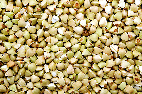 포토 JPG 해외이미지 스튜디오촬영 씨앗 사람없음 닫기 자르기 메밀 흰배경 고립 정물화 해외202004 해외포토 식물 백그라운드 식재료 모션 실내 흰색 그림 파일형식 이미지허브