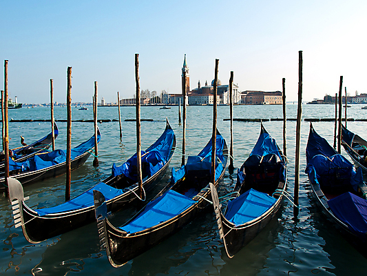 포토 JPG 해외이미지 바다 섬 조명 사람없음 빨간색 파란색 장미 반사 노란색 일몰 이탈리아 보트 곤돌라 야간 저녁 베네치아 해외202004 해외포토 자연요소 꽃 유럽 컬러 배_교통 노을 파일형식 이미지허브