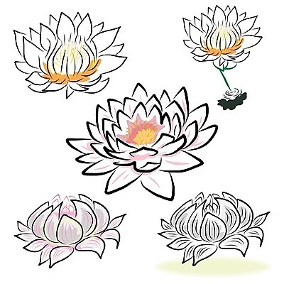 EPS 해외이미지 식물 꽃잎 꽃 백그라운드 잎 꽃무늬 일러스트 자연 연꽃 장식 여름 환경 정원 봄 화려 개화 백합 그림 손그림 내추럴 고립 이국적 해외202004 해외일러스트 계절 컨셉 무늬 생태계 파일형식 벡터 이미지허브