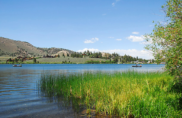 포토 JPG 해외이미지 구름 호수 여행 자연 갈매기 하늘 휴가 풍경 사람없음 물 여행객 미국 6월 캘리포니아 멸종위기동물 매머드 해외202004 해외포토 자연요소 동물 북아메리카 조류 사람 날짜 생태계 파일형식 멸종위기종 이미지허브