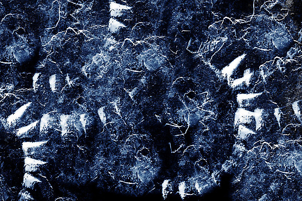 포토 JPG 해외이미지 선 백그라운드 패턴 일러스트 벽지 표면 추상 미술 사람없음 검은색 소리 수확 골동품 얼룩 거친 낟알 묘사 부식 질감 스크래치 모음 그런지 엘리먼트 환각 디테일 해외202004 해외포토 컬러 무늬 농업 문화예술 한글 증상 파일형식 이미지허브