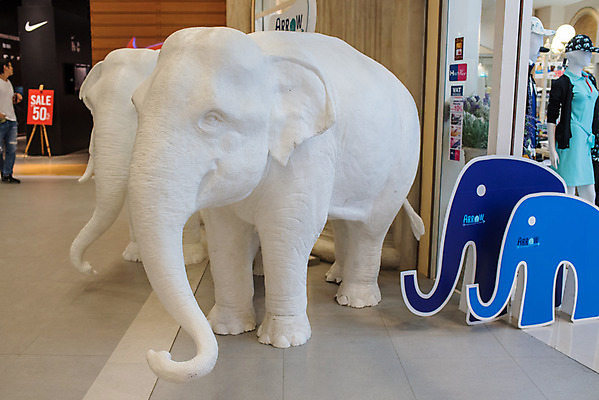 포토 JPG 해외이미지 동물 전통 아시아 문화 조각 여행 백그라운드 포유류 자연 코끼리 미술 동양인 사람없음 장식 조각상 숫자 상점 피규어 골동품 흰색 심볼 오브젝트 기념품 백자 해외202004 해외포토 문자 나라 컬러 문화예술 인종 조형물 미니어처 도자기 생태계 파일형식 이미지허브