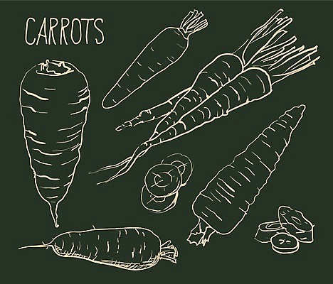 EPS 해외이미지 모양 식물 헤어스타일 디자인 실루엣 선 음식 백그라운드 컨셉 잎 패턴 채소 일러스트 텍스트 자연 미술 그래픽 여름 세트 라벨 당근 수확 성장 가을 그룹 낙서 그래피티 정상 인쇄 만화 스케치 사인 그림 복고 클립 심플 윤곽 고립 엘리먼트 해외202004 해외일러스트 계절 무늬 농업 문화예술 뿌리채소 프레임 촬영기법 생태계 파일형식 벡터 이미지허브