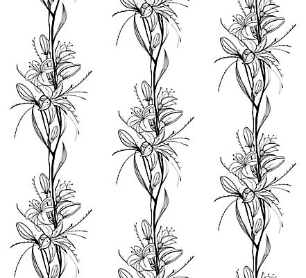 EPS 해외이미지 식물 디자인 꽃잎 꽃 꽃다발 백그라운드 잎 꽃무늬 패턴 일러스트 자연 미술 장식 정원 검은색 벚꽃 흰색 화려 우아함 다발 그림 윤곽 고립 해외202004 해외일러스트 컬러 컨셉 무늬 문화예술 생태계 파일형식 벡터 이미지허브