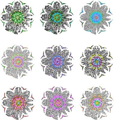 EPS 해외이미지 디자인 꽃 백그라운드 꽃무늬 패턴 일러스트 요가 추상 미술 동양인 장식 세트 컬러풀 수확 흰색 원형 인도인 그림 질감 부족 고립 만다라 아랍어 엘리먼트 스타일 해외202004 해외일러스트 도형 외국인 식물 웰빙 컬러 컨셉 무늬 농업 문화예술 인종 파일형식 벡터 이미지허브