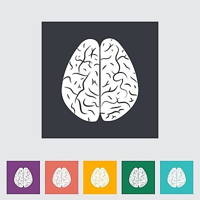 EPS 해외이미지 디자인 선 신체 일러스트 부분 해부 아이디어 건강 미술 사람 내부 약 머리 검은색 흰색 오르간 플랫 불안 심볼 명상 뇌 그림 생물학 시스템 고립 엘리먼트 정신과의사 지능 해외202004 해외일러스트 교육 감정 컬러 컨셉 의학 문화예술 신체부위 의사 건반악기 파일형식 벡터 악기 의료진 건반 직업 음악 이미지허브