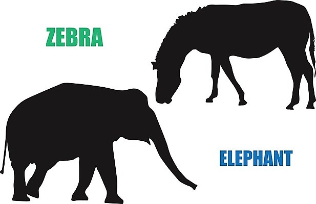 EPS 해외이미지 동물 디자인 실루엣 야생동물 백그라운드 일러스트 포유류 자연 코끼리 동물원 그래픽 초록색 파란색 반려동물 농장 검은색 흰색 이름 수집 심볼 사파리 사인 얼룩말 고립 동물상 엘리먼트 해외202004 해외일러스트 컬러 농업 촬영기법 조형물 말_동물 생태계 파일형식 벡터 이미지허브
