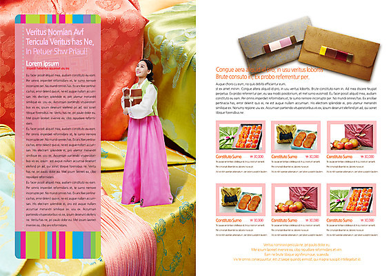 전신 PSD 템플릿 편집 한국전통 표지디자인 북디자인 출판디자인 여자 명절 내지 한식 음식 백그라운드 북커버 과일 봉투 건조 감 선물 한명 서기 들기 사람 동양인 팜플렛 20대 성인 선물상자 요식업 전통음식 한국인 보자기 한복 상품권 약과 곶감 여자만 여자한명만 성인여자만 청년만 청년여자만 성인한명만 청년여자한명만 성인여자한명만 성인만 이미지템플릿 1 전통 기념일 산업 모션 한국 인종 청년 상자 전통의상 건과일 파일형식 천_직물