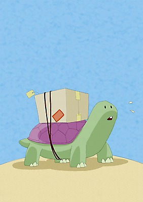 PSD 동물 한마리 일러스트 사람없음 상자 끈 거북이 배송 택배 국내일러스트 1 파충류 운송업 파일형식