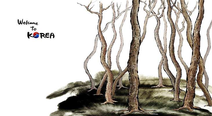 PSD 문화 여행 캘리배경 백그라운드 일러스트 캘리그라피 유적지 한국 수묵화 사람없음 관광지 동양화 국내여행 소나무숲 국내일러스트 아시아 고건축 미술 소나무 숲 파일형식