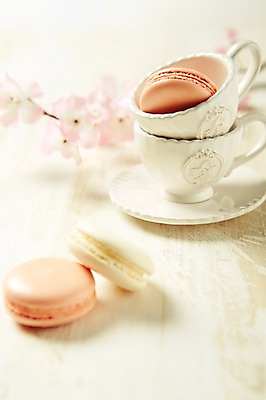 포토 JPG 스튜디오촬영 식물 꽃 음식 백그라운드 티타임 디저트 실내 사람없음 아웃포커스 컵 달콤 찻잔 마카롱 국내포토 식기 휴식 잔 촬영기법 내부 맛 파일형식