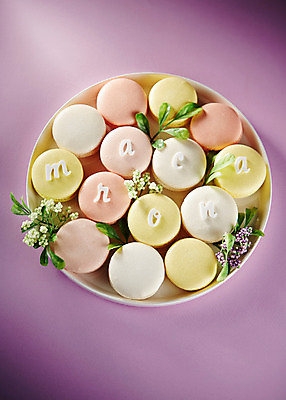 포토 JPG 스튜디오촬영 식물 꽃 음식 컬러 백그라운드 디저트 실내 사람없음 보라색 풀 달콤 마카롱 국내포토 내부 맛 파일형식