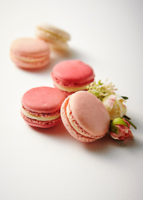 포토 JPG 스튜디오촬영 식물 꽃 음식 분홍색 컬러 배경화면 백그라운드 디저트 실내 사람없음 아웃포커스 달콤 마카롱 국내포토 촬영기법 내부 맛 파일형식