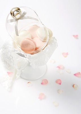 포토 JPG 스튜디오촬영 접시 음식 백그라운드 디저트 실내 사람없음 뚜껑 달콤 마카롱 국내포토 식기 내부 맛 파일형식