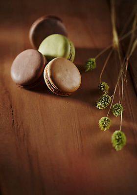 포토 JPG 스튜디오촬영 식물 음식 컬러 백그라운드 디저트 실내 사람없음 아웃포커스 갈색 풀 달콤 마카롱 국내포토 촬영기법 내부 맛 파일형식