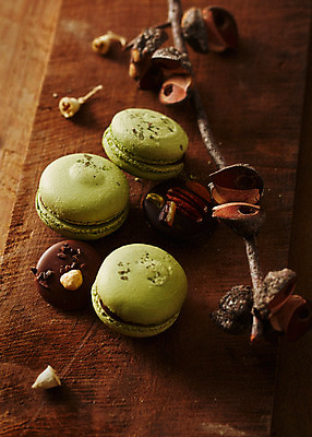 포토 JPG 스튜디오촬영 음식 백그라운드 디저트 실내 사람없음 아웃포커스 나뭇가지 달콤 마카롱 국내포토 나무 촬영기법 내부 맛 파일형식