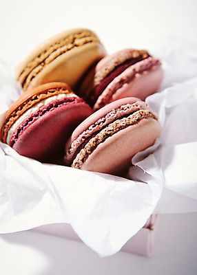 포토 JPG 스튜디오촬영 음식 백그라운드 포장 디저트 실내 근접촬영 사람없음 아웃포커스 상자 컬러풀 달콤 마카롱 국내포토 뷰포인트 컬러 촬영기법 내부 맛 파일형식