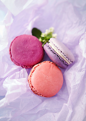 포토 JPG 스튜디오촬영 음식 백그라운드 디저트 실내 근접촬영 사람없음 아웃포커스 컬러풀 달콤 마카롱 국내포토 뷰포인트 컬러 촬영기법 내부 맛 파일형식