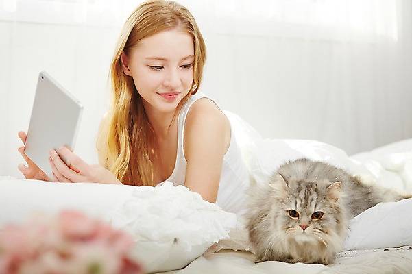 포토 JPG 스튜디오촬영 서양인 외국인 동물 한마리 우먼라이프 라이프스타일 여자 엎드리기 베개 모션 아침 휴식 실내 한명 미소 들기 사람 상반신 20대 성인 반려동물 태블릿 고양이 침실 이불 침대 웹서핑 반려 청년만 청년여자만 청년여자한명만 성인여자한명만 국내포토 주간 1 가구 컨셉 포유류 침구 표정 인종 청년 내부 생활 전자제품 스마트기기 여자만 여자한명만 성인여자만 성인만 파일형식