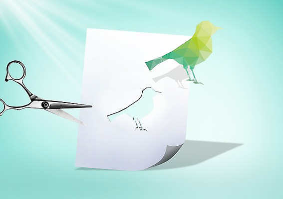 PSD 동물 편집 편집이미지 종이 캠페인 조류 가위 사람없음 자연보호 그린캠페인 자르기 환경보전 이미지편집 모션 자연 문구용품 보호 사회이슈 파일형식