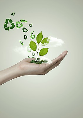 PSD 식물 구름 편집 편집이미지 손 화살표 캠페인 자연 나뭇잎 한명 들기 신체부위 초록색 자연보호 그린캠페인 재활용 심볼 환경보전 에코 그린슈머 이미지편집 자연요소 1 컬러 잎 모션 사람 환경 보호 사회이슈 친환경 생태계 파일형식