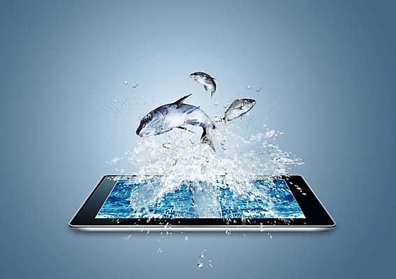 PSD 동물 편집 편집이미지 정보기술 세마리 어류 사람없음 물 스마트기기 태블릿 점프 물방울 튀는물 이미지편집 자연요소 모션 기술 3 전자제품 수중동물 액체표현 스플래쉬 파일형식