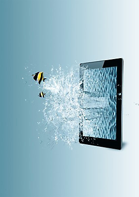 PSD 동물 편집 편집이미지 두마리 정보기술 어류 사람없음 물 스마트기기 태블릿 물방울 열대어 튀는물 이미지편집 자연요소 2 기술 전자제품 수중동물 액체표현 스플래쉬 파일형식