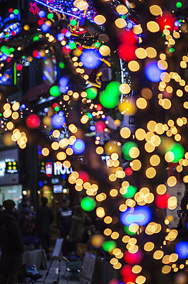 포토 JPG 나무 야경 조명 거리 사람 동양인 여러명 야외 장식 빛 상점 한국인 소프트포커스 신비 보케 감성 부산 국내포토 식물 다수 컨셉 한국 촬영기법 인종 야간 파일형식 풍경_경치