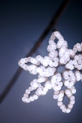 포토 JPG 별 배경화면 야경 조명 사람없음 야외 장식 빛 소프트포커스 신비 보케 감성 국내포토 자연요소 컨셉 촬영기법 야간 파일형식 풍경_경치