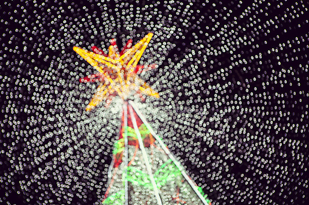 포토 JPG 별 배경화면 크리스마스 야경 밤하늘 조명 사람없음 야외 장식 빛 크리스마스트리 야간 소프트포커스 신비 보케 감성 국내포토 자연요소 기념일 컨셉 하늘 촬영기법 파일형식 풍경_경치