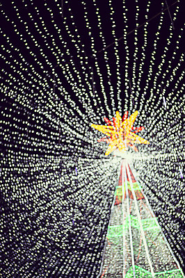 포토 JPG 별 배경화면 크리스마스 야경 밤하늘 조명 사람없음 야외 장식 빛 반짝임 크리스마스트리 야간 소프트포커스 신비 보케 감성 국내포토 자연요소 기념일 컨셉 모션 하늘 촬영기법 파일형식 풍경_경치