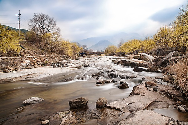 포토 JPG 주간 식물 계절 꽃 백그라운드 자연 하늘 풍경 사람없음 야외 물 계곡 봄 돌_바위 전라남도 구례 산수유 국내포토 자연요소 전라도 생태계 파일형식