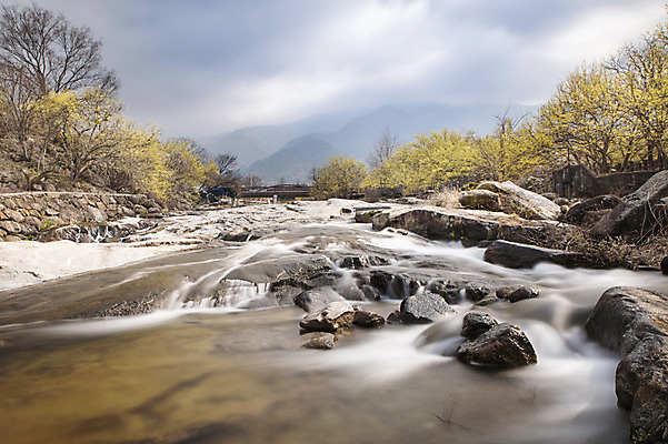 포토 JPG 주간 식물 계절 꽃 백그라운드 자연 하늘 풍경 사람없음 야외 물 마을 봄 돌_바위 전라남도 구례 산수유 국내포토 자연요소 전라도 생태계 파일형식