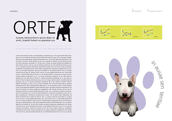 PSD 동물 템플릿 편집 표지디자인 북디자인 출판디자인 실루엣 내지 백그라운드 북커버 그래프 팜플렛 사람없음 반려동물 개 강아지 발자국 불테리어 반려 이미지템플릿 포유류 자국 촬영기법 테리어 파일형식