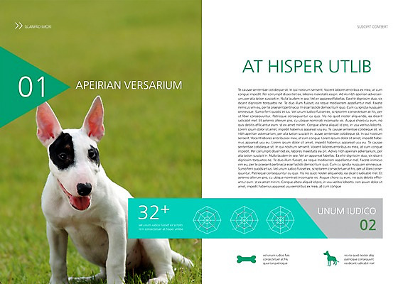 PSD 동물 템플릿 편집 한마리 표지디자인 북디자인 출판디자인 내지 백그라운드 북커버 그래프 뼈 앉기 팜플렛 잔디 사람없음 반려동물 개 강아지 불테리어 반려 이미지템플릿 식물 1 포유류 모션 테리어 파일형식