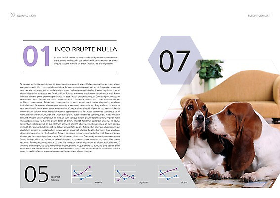 PSD 동물 템플릿 편집 표지디자인 북디자인 출판디자인 내지 엎드리기 백그라운드 두마리 북커버 그래프 팜플렛 사람없음 반려동물 소파 개 강아지 바셋하운드 반려 이미지템플릿 2 의자 포유류 모션 하운드 파일형식