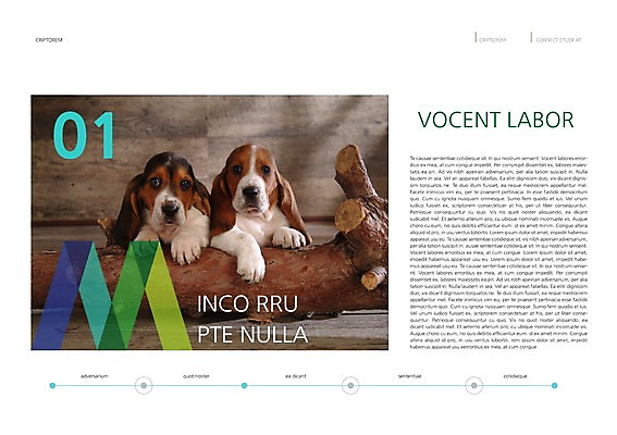 PSD 나무 동물 템플릿 편집 표지디자인 북디자인 출판디자인 내지 백그라운드 두마리 북커버 팜플렛 사람없음 반려동물 개 강아지 바셋하운드 반려 이미지템플릿 식물 2 포유류 하운드 파일형식