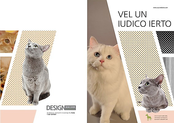 PSD 동물 템플릿 편집 표지디자인 북디자인 응시 출판디자인 표지 백그라운드 북커버 여러마리 앉기 팜플렛 사람없음 반려동물 고양이 올려보기 러시안블루 반려 이미지템플릿 시선 다수 포유류 모션 파일형식