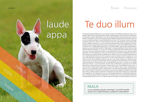 PSD 동물 템플릿 편집 한마리 표지디자인 북디자인 출판디자인 내지 백그라운드 북커버 앉기 팜플렛 잔디 사람없음 반려동물 개 강아지 불테리어 반려 이미지템플릿 식물 1 포유류 모션 테리어 파일형식