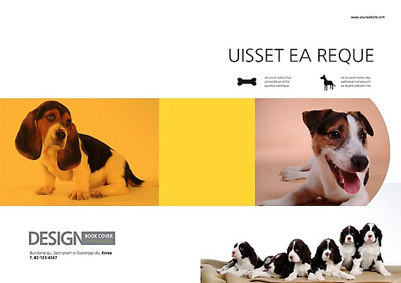 PSD 동물 템플릿 편집 표지디자인 북디자인 응시 출판디자인 표지 백그라운드 북커버 여러마리 뼈 앉기 팜플렛 사람없음 반려동물 개 강아지 메롱 바셋하운드 반려 이미지템플릿 시선 다수 포유류 모션 하운드 파일형식