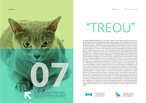 PSD 동물 템플릿 편집 한마리 표지디자인 북디자인 출판디자인 내지 엎드리기 백그라운드 북커버 뼈 팜플렛 사람없음 반려동물 고양이 러시안블루 반려 이미지템플릿 1 포유류 모션 파일형식