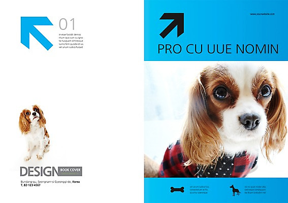 PSD 동물 템플릿 편집 표지디자인 북디자인 응시 출판디자인 표지 화살표 백그라운드 두마리 북커버 뼈 앉기 팜플렛 사람없음 반려동물 개 강아지 반려 이미지템플릿 시선 2 포유류 모션 파일형식