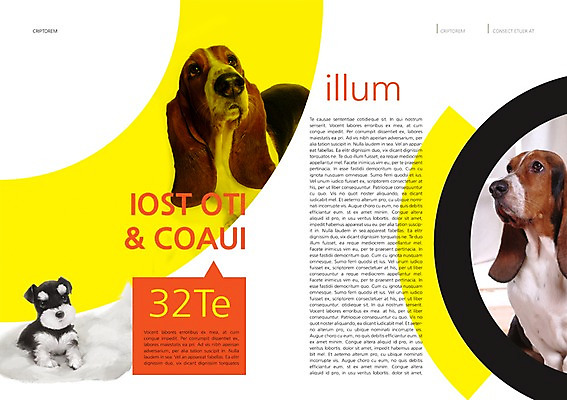 PSD 동물 템플릿 편집 표지디자인 북디자인 출판디자인 내지 백그라운드 북커버 세마리 앉기 팜플렛 사람없음 반려동물 개 강아지 슈나우저 바셋하운드 반려 이미지템플릿 포유류 모션 3 하운드 파일형식