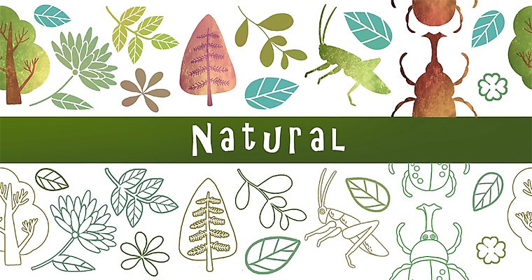 PSD 나무 식물 동물 디자인 계절 꽃 곤충 백그라운드 패턴 일러스트 자연 나뭇잎 풍경 사람없음 봄 신비 딱정벌레 복잡 국내일러스트 컨셉 잎 무늬 생태계 파일형식