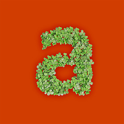 PSD 식물 편집이미지 문자 알파벳 영어 텍스트 타이포그라피 사람없음 초록색 3D 새싹 주황색 풀 클로버 A 소문자 편집3D 컬러 디지털합성 파일형식