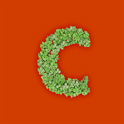 PSD 식물 편집이미지 문자 알파벳 영어 텍스트 씨앗 타이포그라피 사람없음 초록색 3D 새싹 주황색 풀 클로버 소문자 C 편집3D 컬러 디지털합성 파일형식