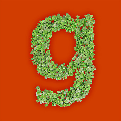 PSD 식물 편집이미지 문자 알파벳 영어 텍스트 타이포그라피 사람없음 초록색 3D 새싹 주황색 풀 클로버 G 소문자 편집3D 컬러 디지털합성 파일형식